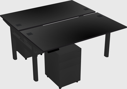 Shared electric desk