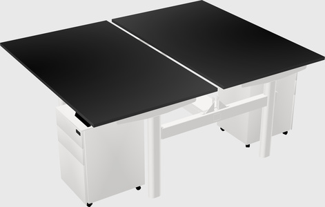 Shared electric desk