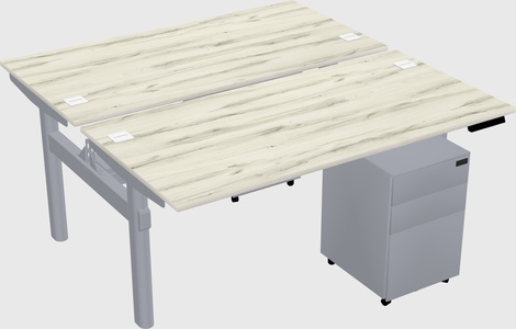 Shared electric desk