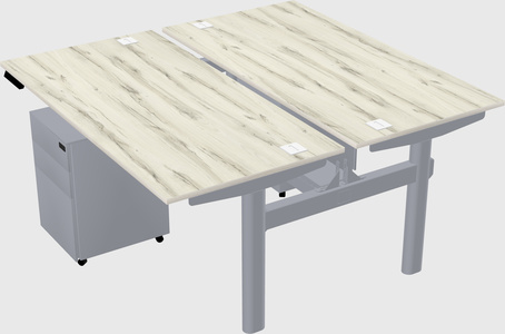 Shared electric desk