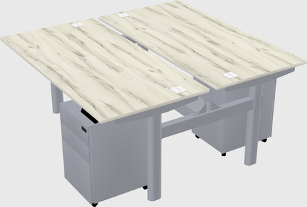 Shared electric desk
