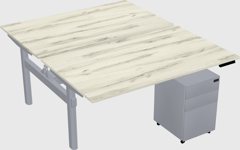 Shared electric desk
