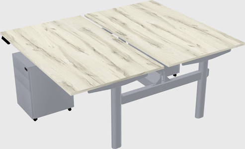 Shared electric desk