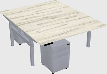 Shared electric desk