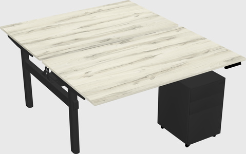 Shared electric desk
