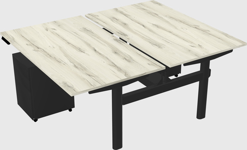 Shared electric desk