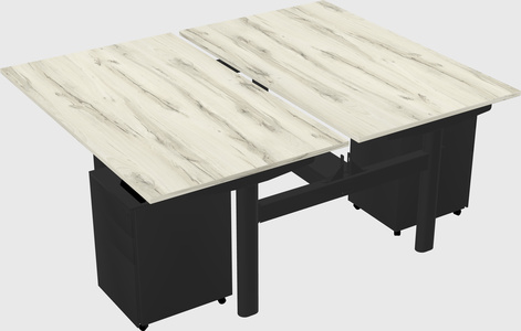 Shared electric desk