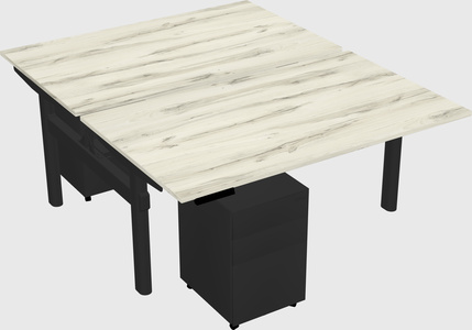 Shared electric desk