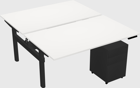 Shared electric desk