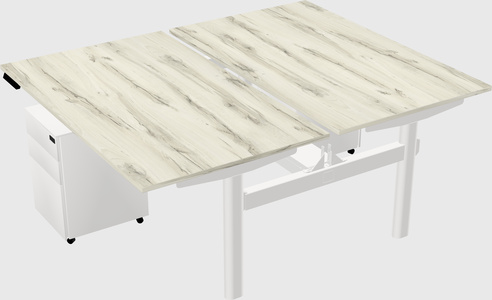 Shared electric desk