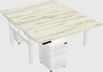 Shared electric desk