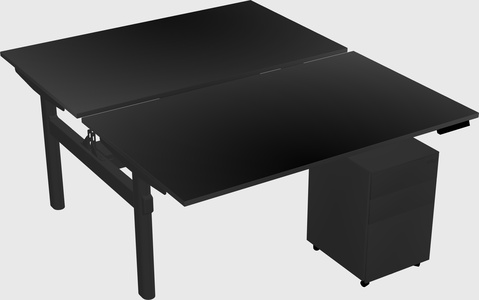 Shared electric desk