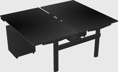 Shared electric desk