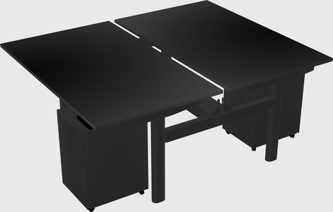 Shared electric desk