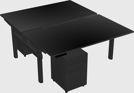 Shared electric desk