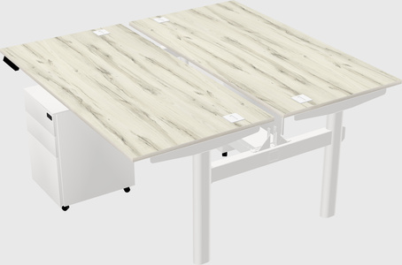 Shared electric desk