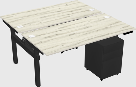 Shared electric desk