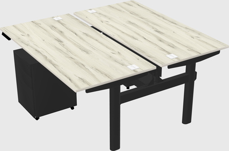 Shared electric desk