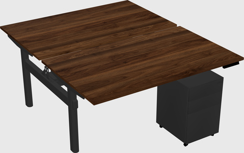 Shared electric desk