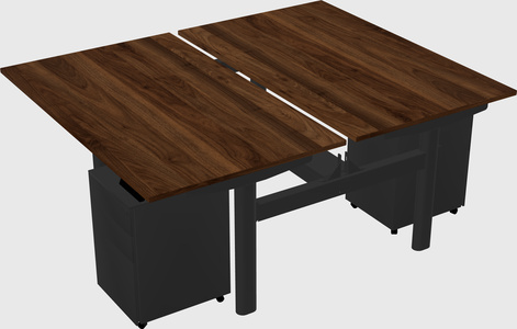 Shared electric desk