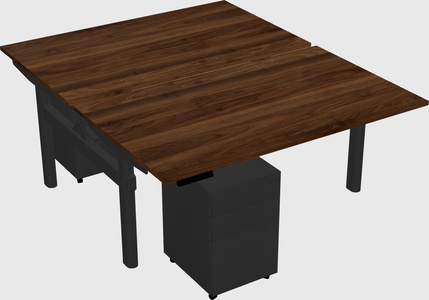Shared electric desk