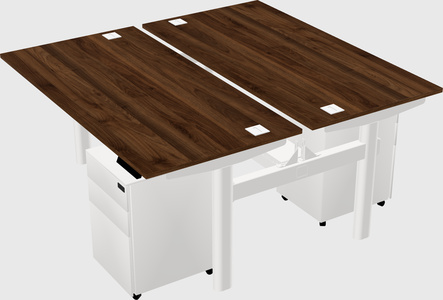 Shared electric desk