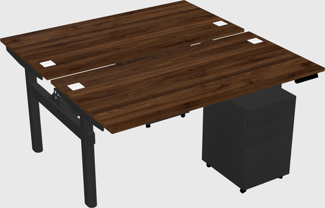 Shared electric desk