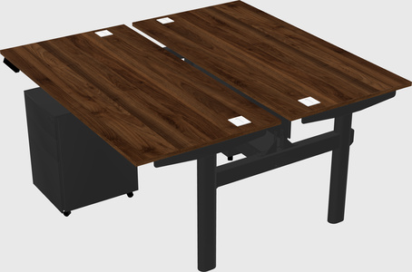 Shared electric desk