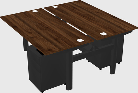 Shared electric desk
