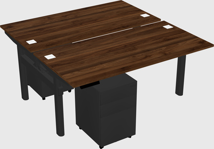 Shared electric desk