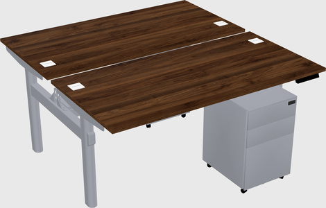 Shared electric desk