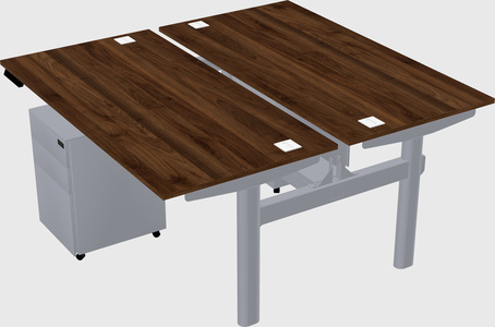 Shared electric desk