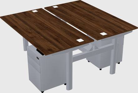 Shared electric desk