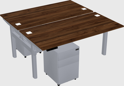 Shared electric desk