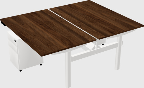 Shared electric desk