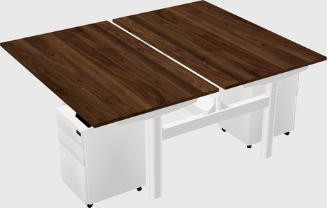 Shared electric desk