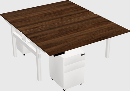 Shared electric desk