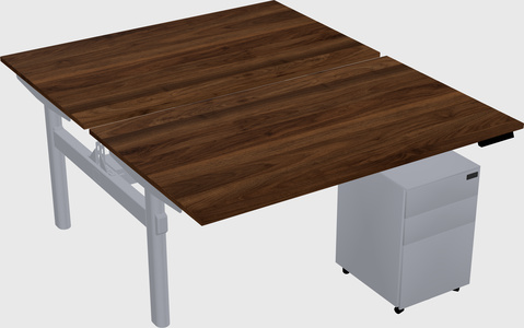 Shared electric desk