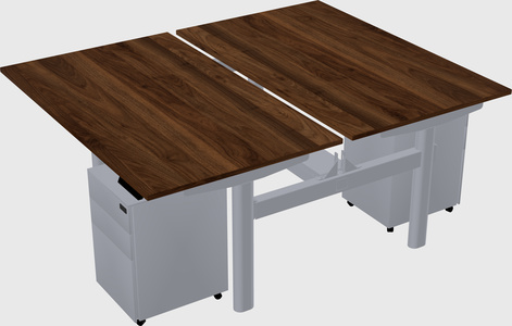 Shared electric desk