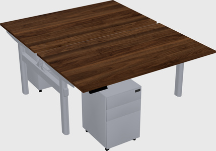 Shared electric desk