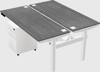 Shared electric desk