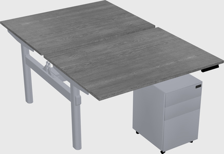 Shared electric desk