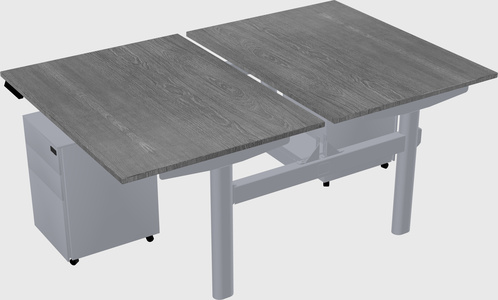 Shared electric desk