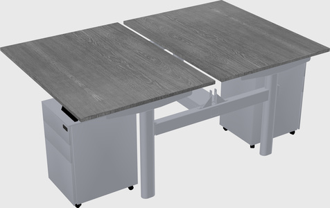 Shared electric desk
