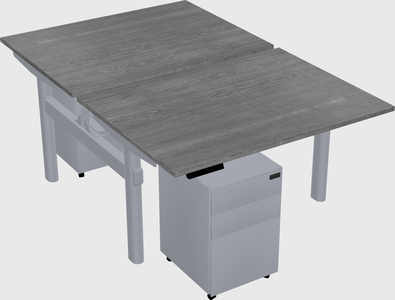 Shared electric desk