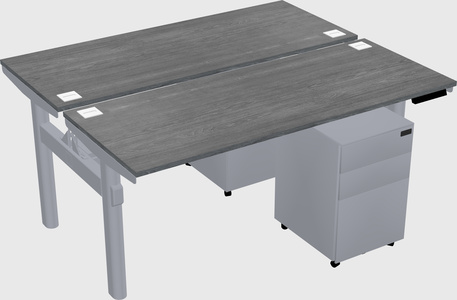 Shared electric desk