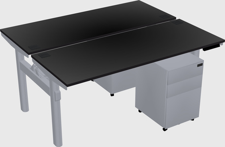 Shared electric desk