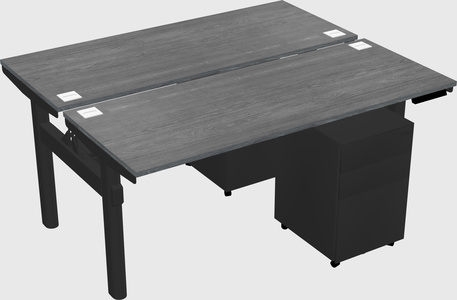 Shared electric desk