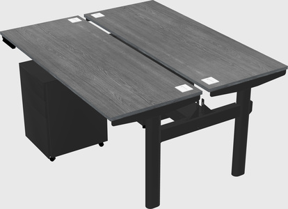 Shared electric desk