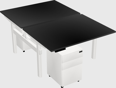 Shared electric desk
